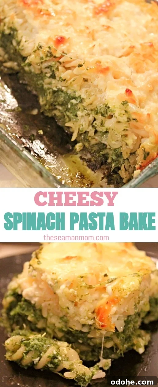Cheesy Spinach Pasta Bake with Golden Crust 7 Spinach pasta bake
