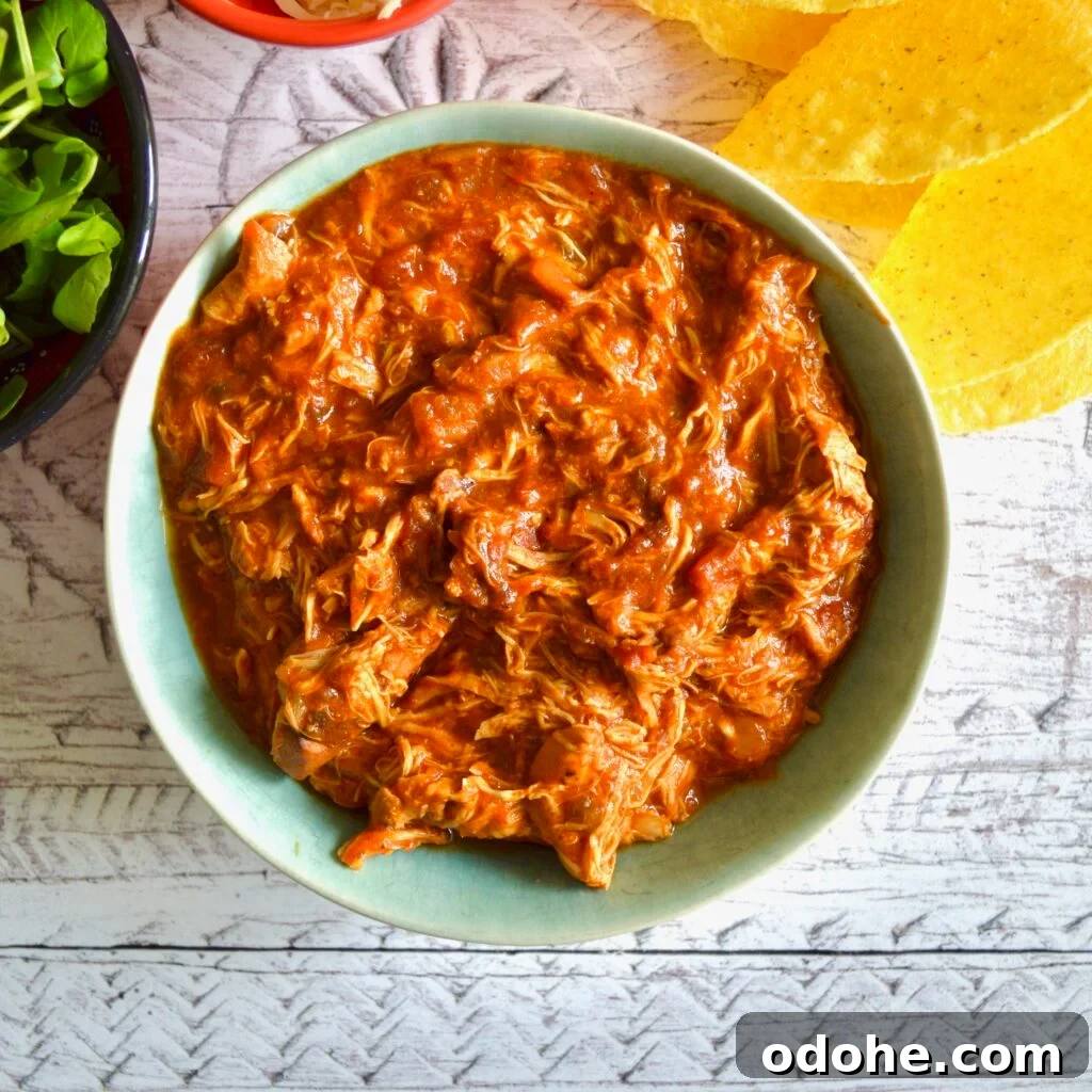 10 Gluten- and Dairy-Free Slow Cooker Recipes for Every Weeknight 4 taco chicken