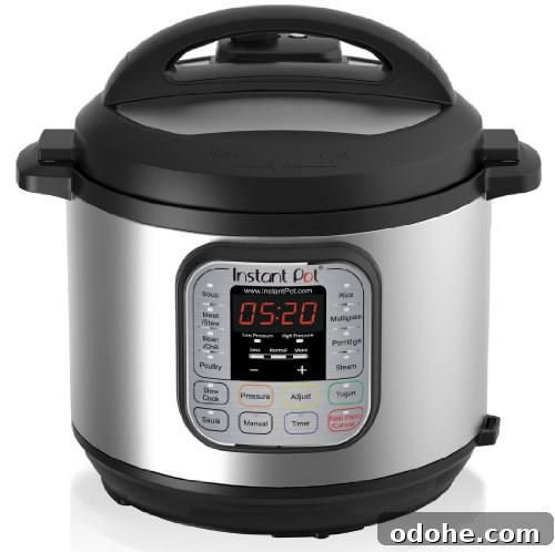 Instant Pot 7-in-1 Review: Features, Performance & Verdict 2 Instant Pot 6 Quart