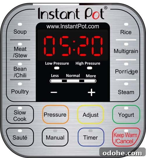 Instant Pot 7-in-1 Review: Features, Performance & Verdict 3 Instant Pot control panel
