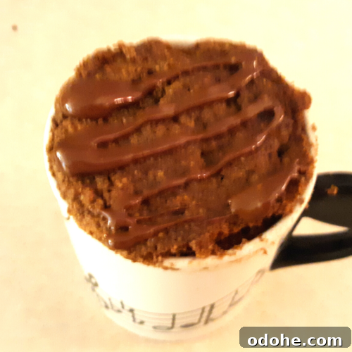 90 Second Keto Chocolate Mug Cake