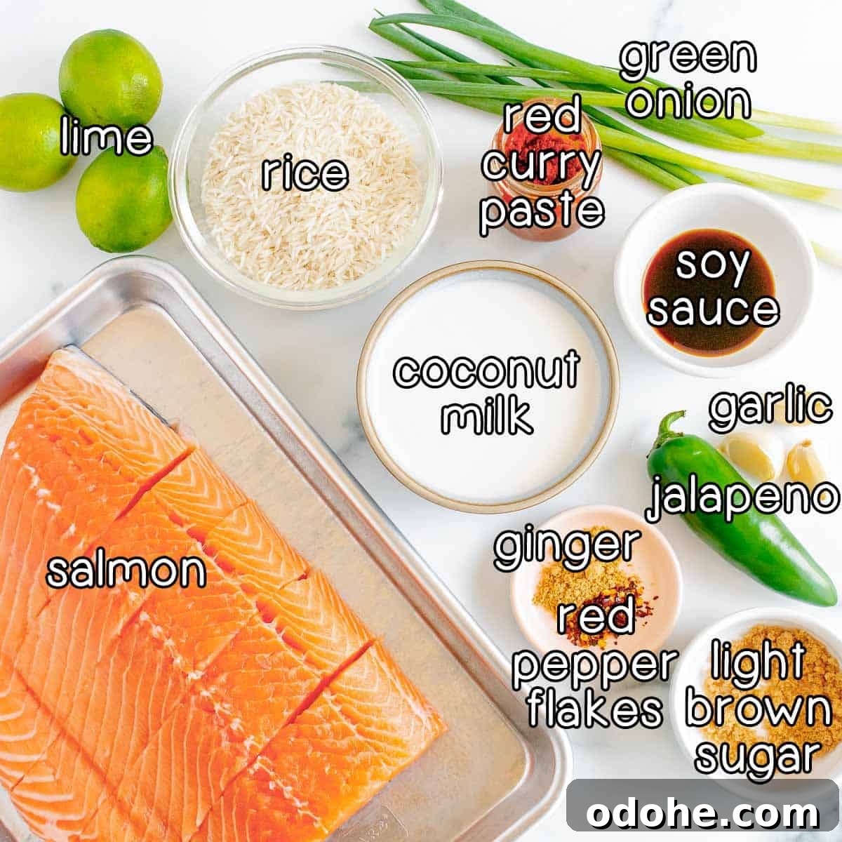 Thai-Style Salmon with Coconut Lime Sauce 3 Overhead shot of ingredients - lime, rice, red curry paste, green onion, soy sauce, coconut milk, garlic, jalapeno, light brown sugar, ginger, red pepper flakes, and salmon.