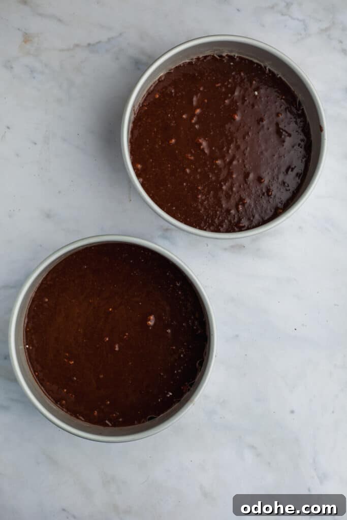 two cake pans with unbaked chocolate cakes