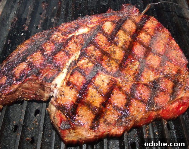 Peppered Sirloin with Bacon Mushroom Cream Sauce 9 Lookin’ Good, Love Those Grill Grates