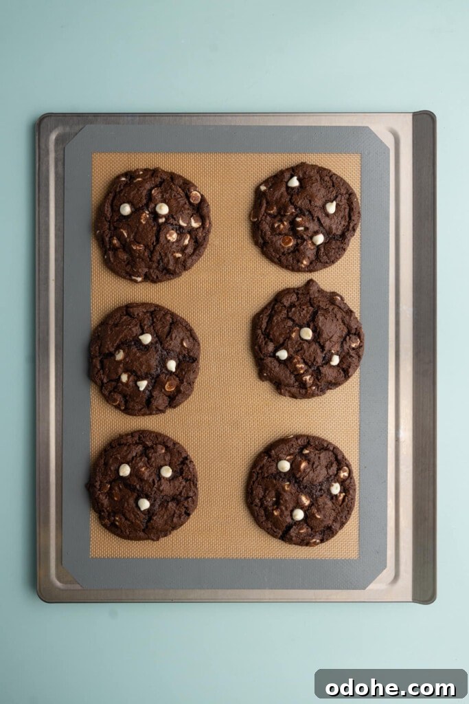 Chocolate Cookies with White Chocolate Chips fresh out of the oven