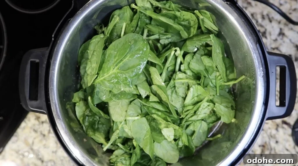 Topping pot with spinach