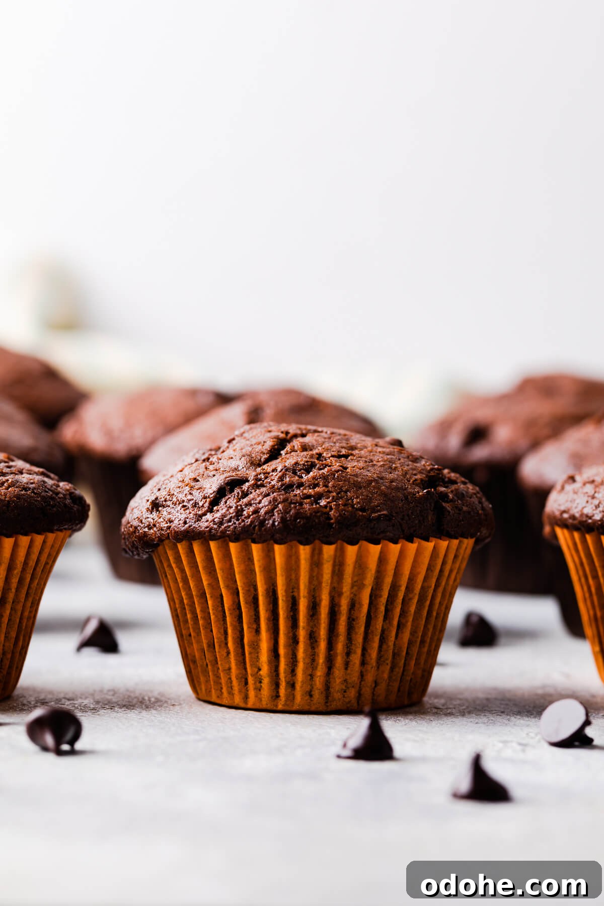 Chocolate Fudge Spiderweb Muffins Recipe — Decadent Halloween Treat 13 a single plain chocolate fudge muffin in bright orange case and some chocolate chips around it.