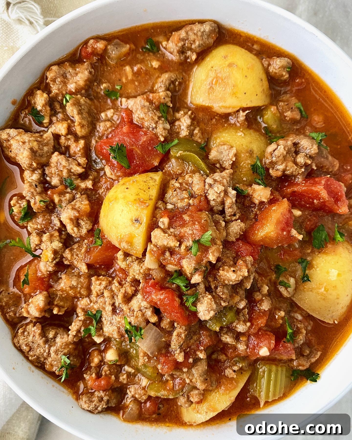 Slow Cooker Hamburger Stew Recipe — Hearty One-Pot Comfort Meal 9 close up, overhead shot of hamburger stew in a white bowl garnished with fresh parsley