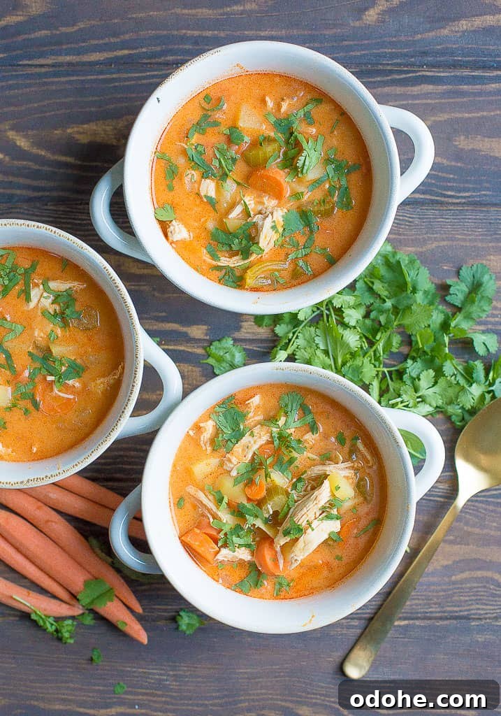 40 Whole30 Instant Pot Meals for Quick, Real-Food Dinner Ideas 12 whole30 instant pot recipes