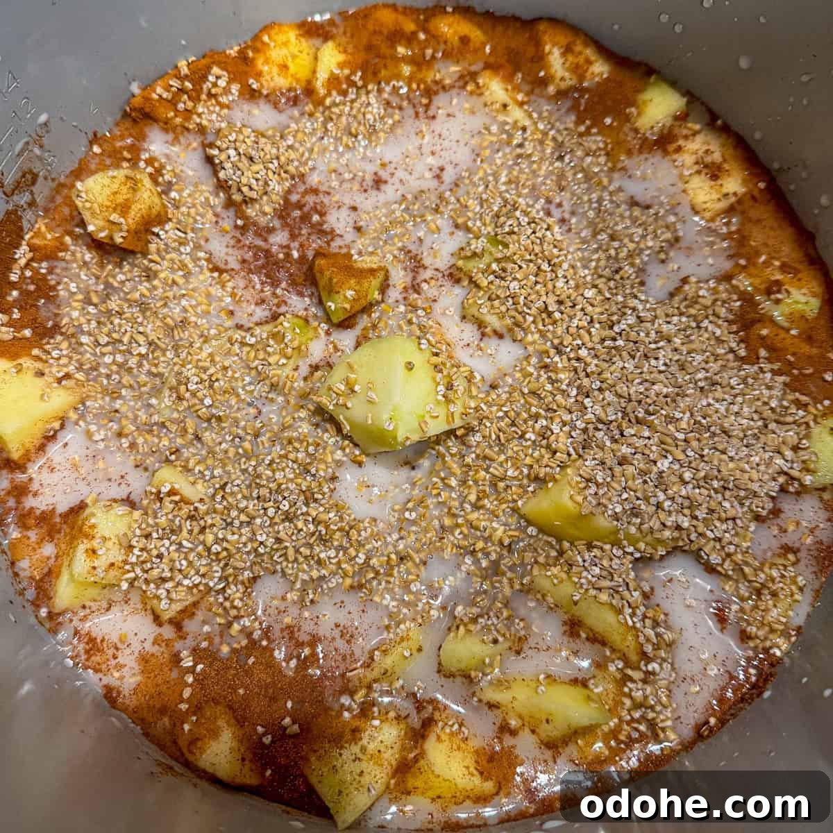 slow cooker. steel cut oats
