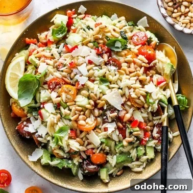 Zesty Lemon Pasta Salad with Fresh Herbs and Creamy Dressing 16 Lemon Orzo Salad