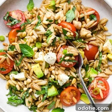 Zesty Lemon Pasta Salad with Fresh Herbs and Creamy Dressing 17 img 46202 17