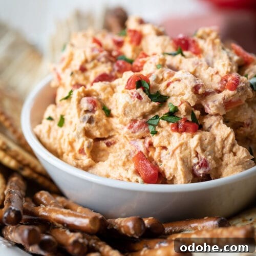 close up of roasted red pepper dip in a dish.