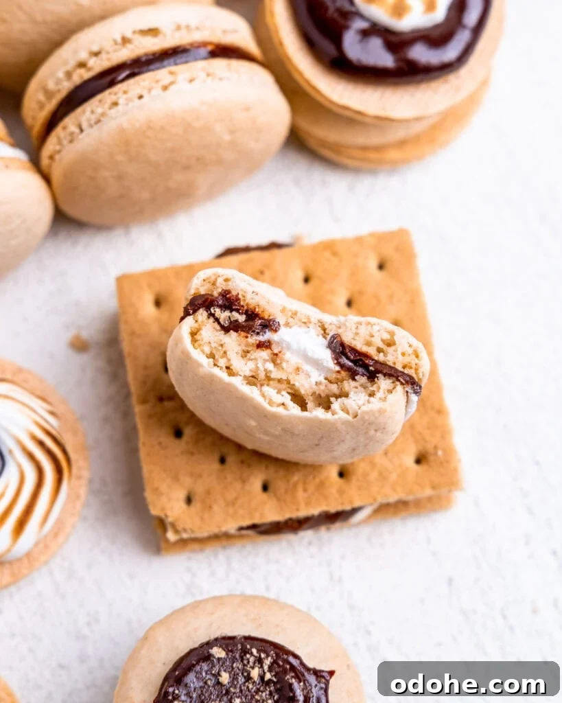 A s'mores macaron with a bite out of it sitting on top of an actual s'more. You can see the marshmallow cream & chocolate ganache fillings and full graham cracker shells.