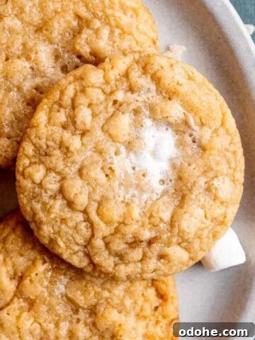 A plate of marshmallow crispy cookies.