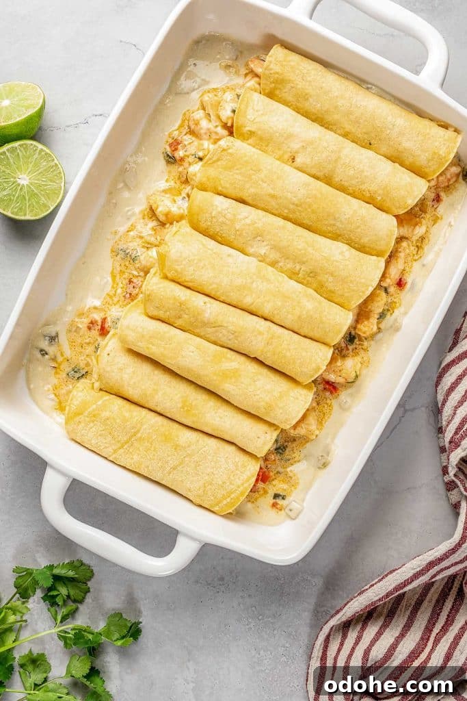 Creamy Shrimp Enchiladas Recipe 8 shrimp filling rolled in corn tortillas over the enchilada sauce
