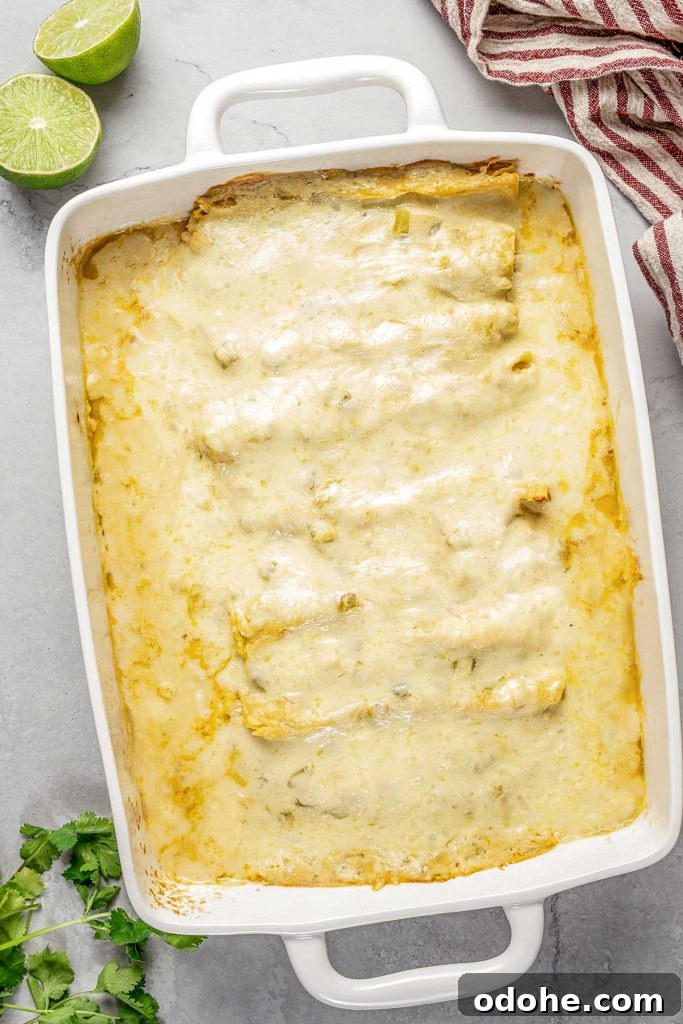 Creamy Shrimp Enchiladas Recipe 9 enchilada sauce covering the rolled tortillas