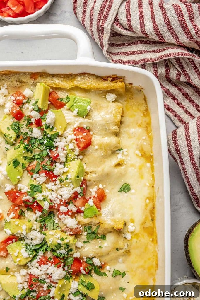 Creamy Shrimp Enchiladas Recipe 3 Top view of enchiladas in a baking dish