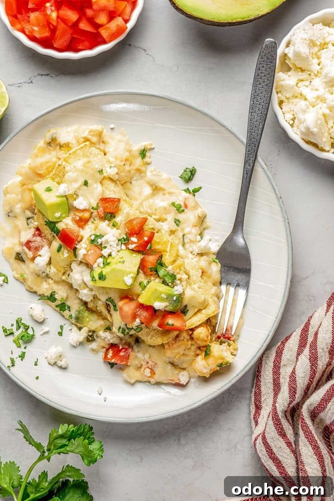 Creamy Shrimp Enchiladas Recipe 11 creamy shrimp enchilada on a white plate