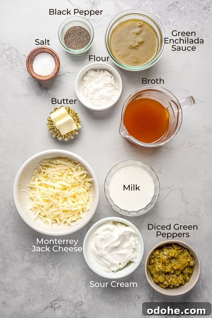 Creamy Shrimp Enchiladas Recipe 5 ingredients to make enchilada sauce
