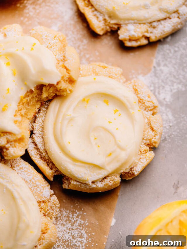Lemon Curd Filled Cupcakes with Buttery Vanilla Frosting 15 cropped-close-up-lemon-sugar.jpg