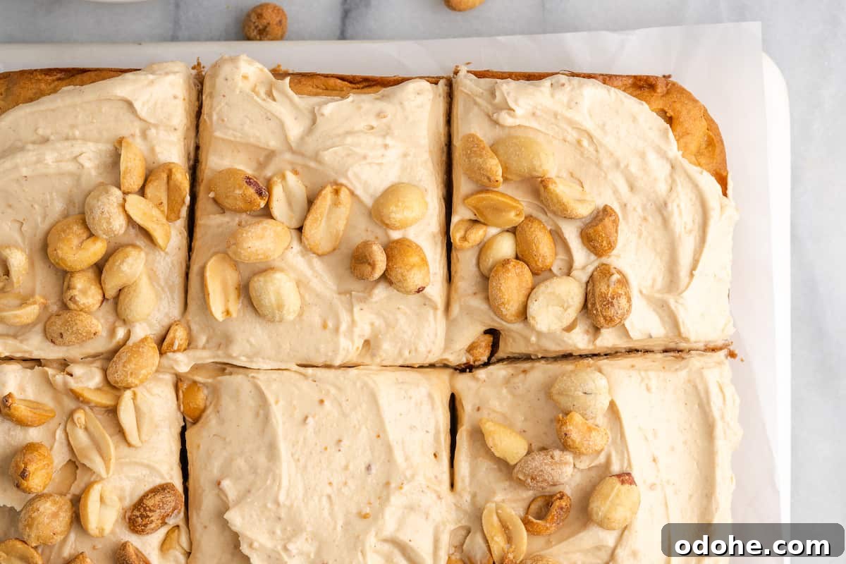 This delicious vegan peanut butter cake recipe is quick and easy to make, bursting with flavor, and the perfect treat with coffee or ice cream Peanut butter cake cut into squares