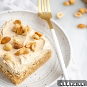 Decadent Peanut Butter Cake Recipe with Creamy Frosting 2 A piece of peanut butter cake on a plate