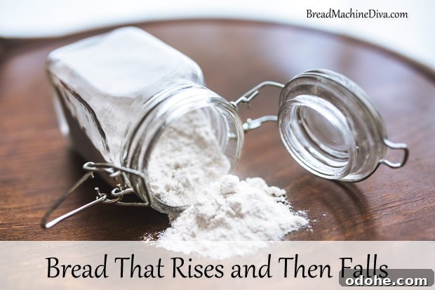 Bread That Rises and Then Falls
