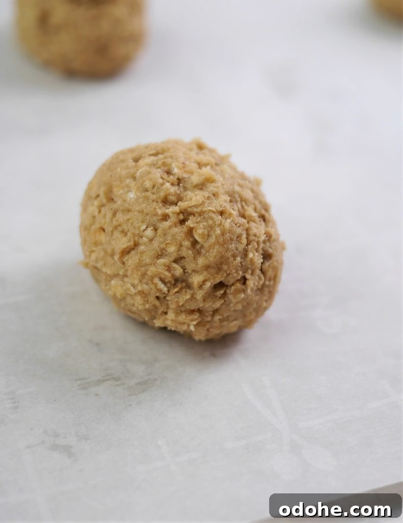 Amish Oatmeal Whoopie Pies Recipe — Soft Spiced Sandwich Cookies 6 img 5292 5
