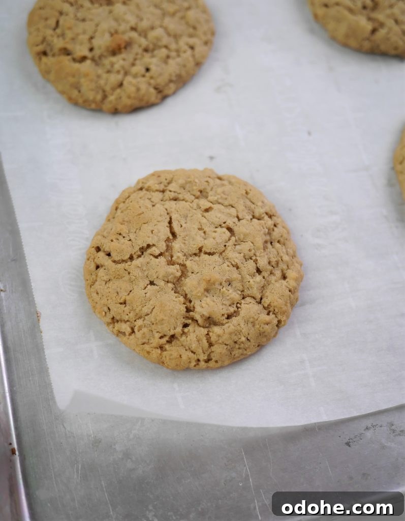 Amish Oatmeal Whoopie Pies Recipe — Soft Spiced Sandwich Cookies 7 img 5292 6