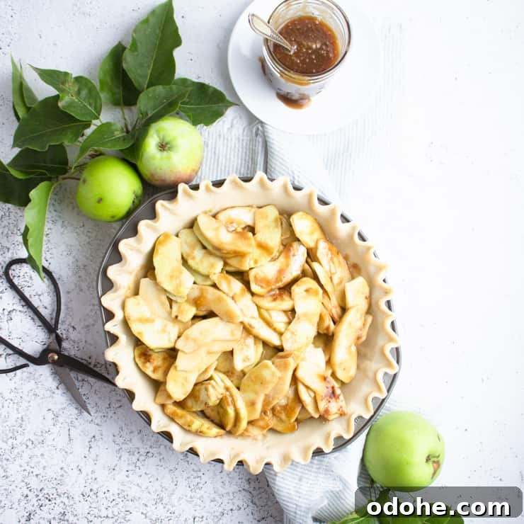open pie crust filled with apple pie filling