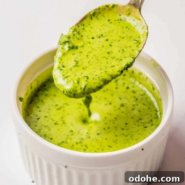 An image of a spoon scooping up a spoonful of cilantro lime dressing.