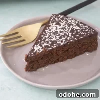 Rich chocolate cake with powdered sugar topping on a white plate.