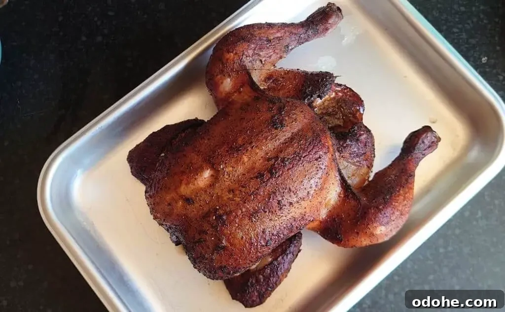 Smoked Chicken Temps: Safe Internal Temperatures for Done Poultry 2 img 5609 1