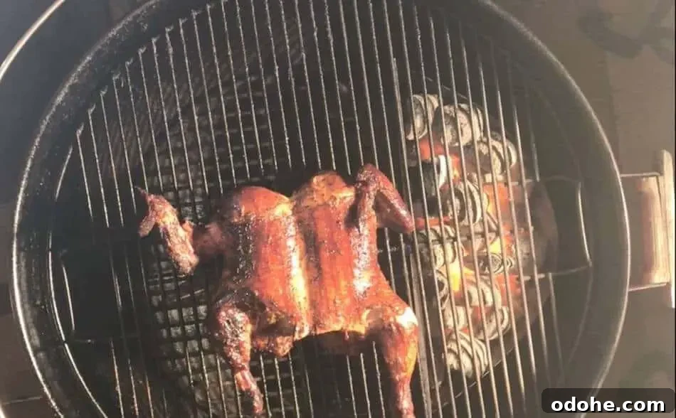 Smoked Chicken Temps: Safe Internal Temperatures for Done Poultry 6 img 5609 5