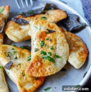 Roasted Butternut Squash and Feta Pierogi Recipe 11 Roasted Butternut Squash Feta Pierogi is an amazing dish that combines American fall flavors with a taste from the Greek islands, wrapped in Polish dough