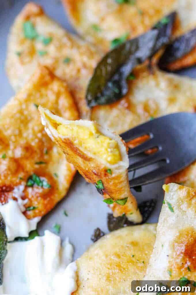 Roasted Butternut Squash and Feta Pierogi Recipe 9 Roasted Butternut Squash Feta Pierogi is an amazing dish that combines American fall flavors with a taste from the Greek islands, wrapped in Polish dough