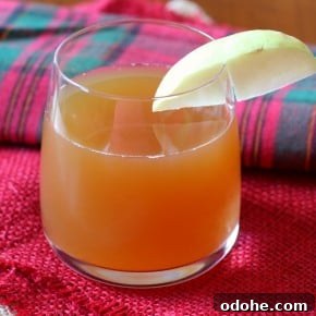 Ginger-Infused Apple Cider Recipe for Cozy Fall Gatherings 5 img 6047 4