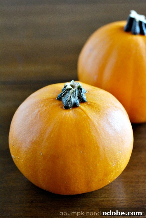 Spicy Slow-Cooker Pumpkin Chili Recipe for Cozy Fall Nights 3 Slow Cooker Pumpkin Chili