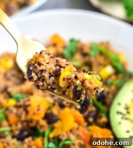 Mexican quinoa black bean enchilada casserole - Instant Pot & stovetop method
