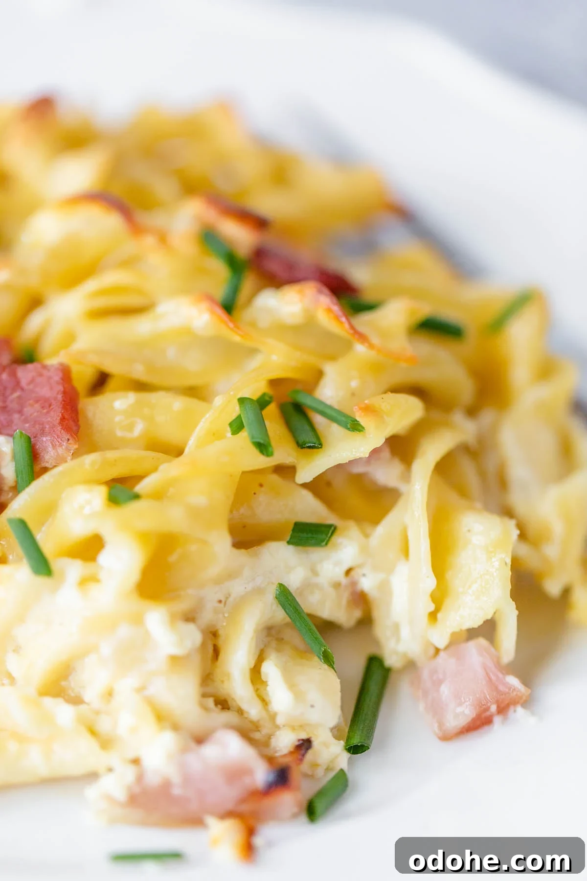 Ham and Noodle Casserole (Schinkenfleckel) Recipe 7 noodles and ham casserole up close