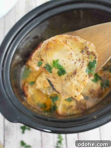 Close up of a wooden spoon holding a chicken thigh covered in honey mustard sauce with parsley over a black slow cooker.