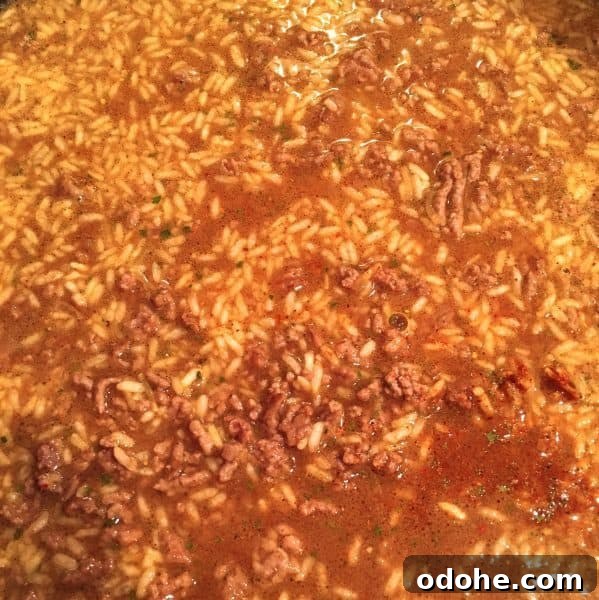 Adding water to meat and rice mixture