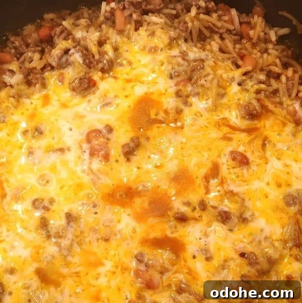 Melted cheese on Mexican Skillet Dinner