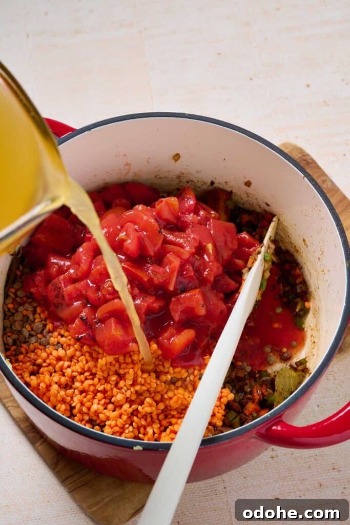 Cincinnati-Style Lentil Chili Recipe for Rich, Hearty Flavor 9 Adding broth into a pot with sautéed veggies, red and brown lentils, and canned roasted diced tomatoes.