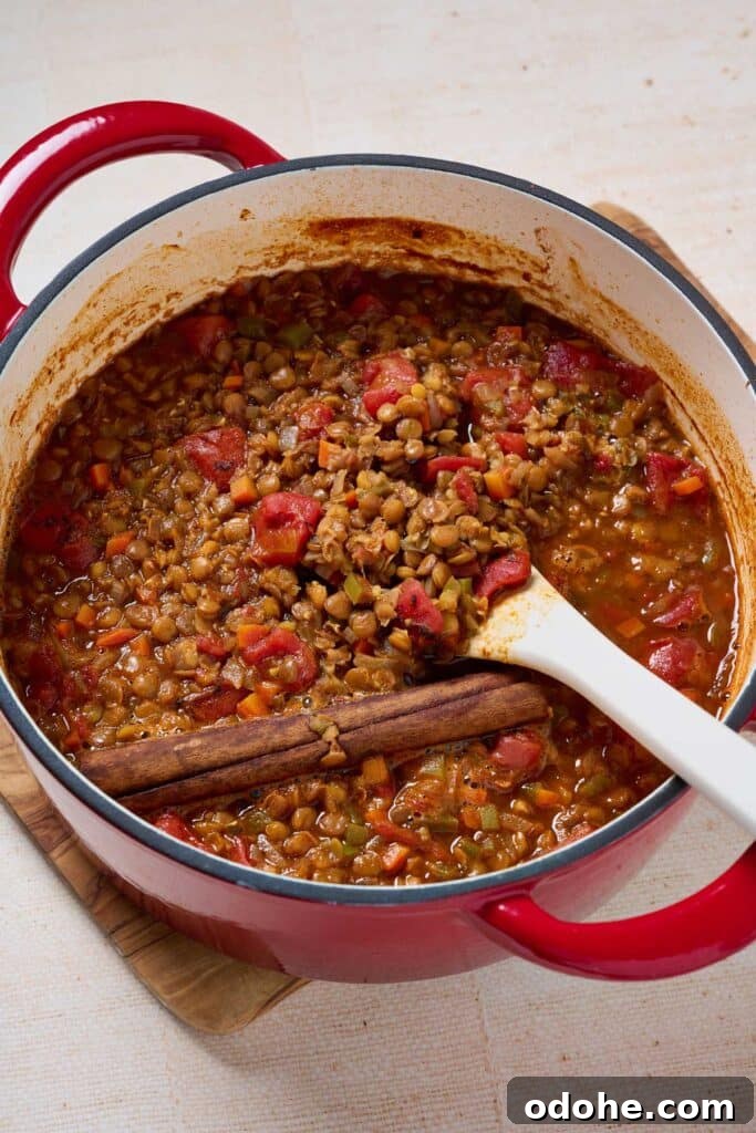 Cincinnati-Style Lentil Chili Recipe for Rich, Hearty Flavor 11 A pot of lentil chili