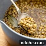 Cincinnati-Style Lentil Chili Recipe for Rich, Hearty Flavor 17 How Do you Cook Lentils
