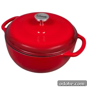 Cincinnati-Style Lentil Chili Recipe for Rich, Hearty Flavor 19 Lodge Cast Iron Dutch Oven