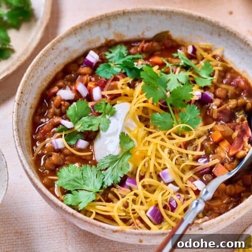 Cincinnati-Style Lentil Chili Recipe for Rich, Hearty Flavor 21 A bowl of lentil chili topped with chopped red onions, cilantro and shredded cheese