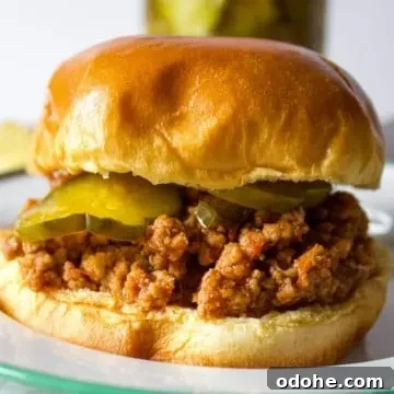 Sideview close up of sloppy joe on plate.